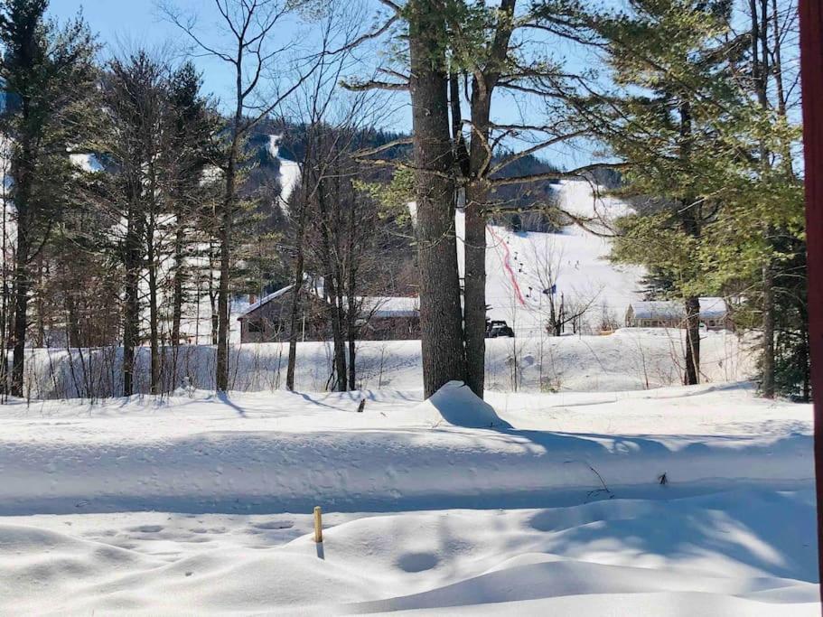 Attitash Mountain Village Studio - Slope View - Ski - Storyland Bartlett Esterno foto