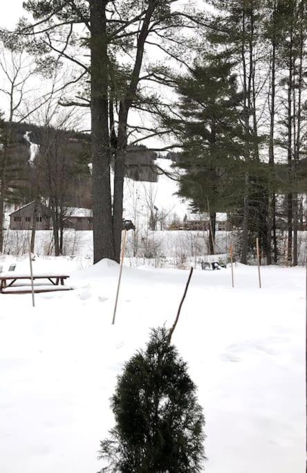Attitash Mountain Village Studio - Slope View - Ski - Storyland Bartlett Esterno foto